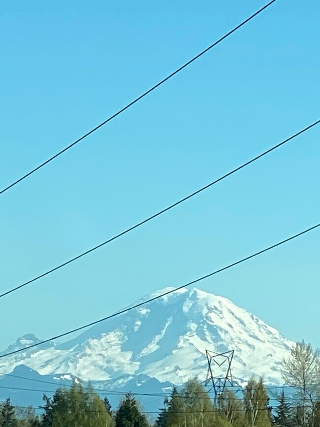 Building Photo - 3717 Belvidere Ave SW