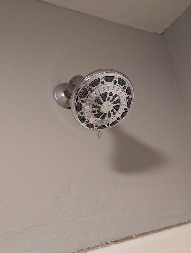 Building Photo - 1409 Bradt St