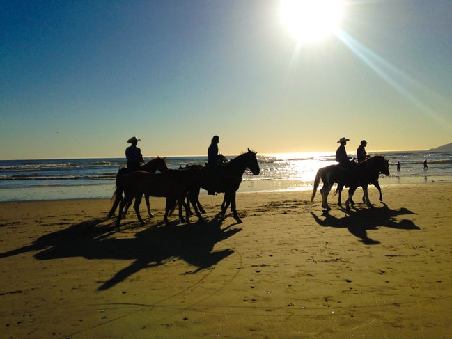 Building Photo - 341 Harbor View Ave