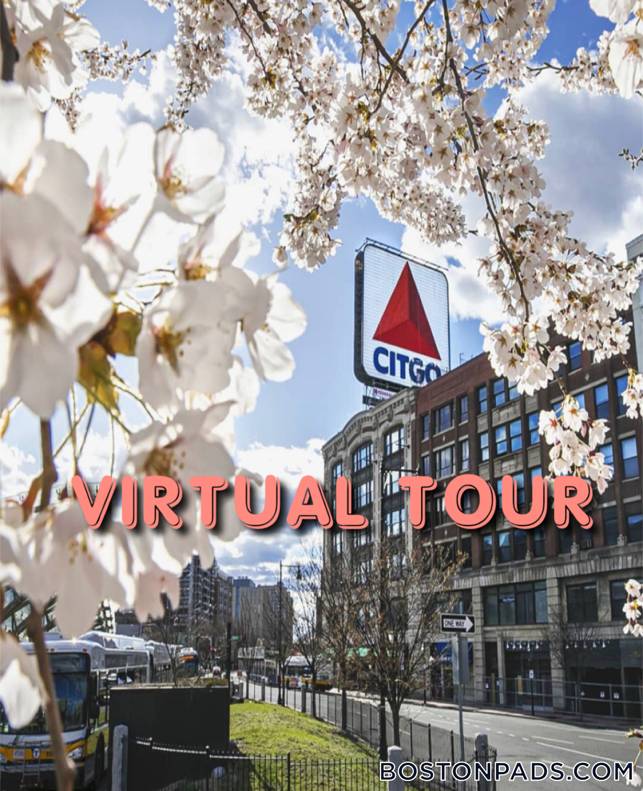 Building Photo - 19 Peterborough St