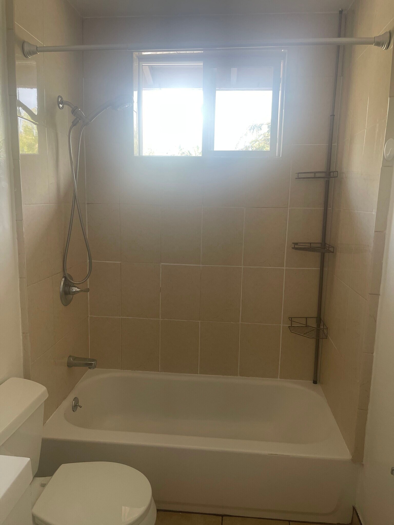 Building Photo - 1119 Starbird Cir