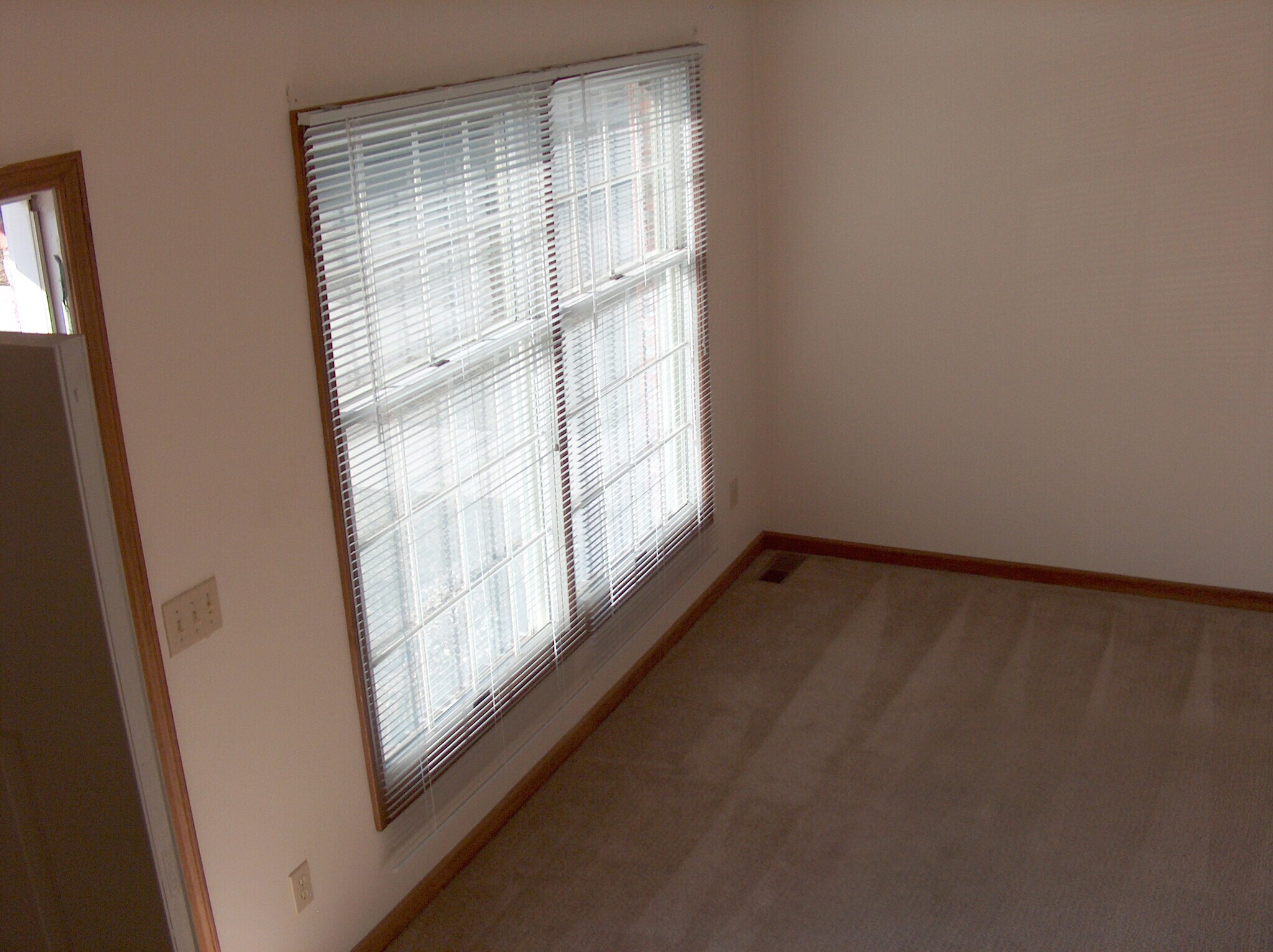 Living room - 815 E Franklin St