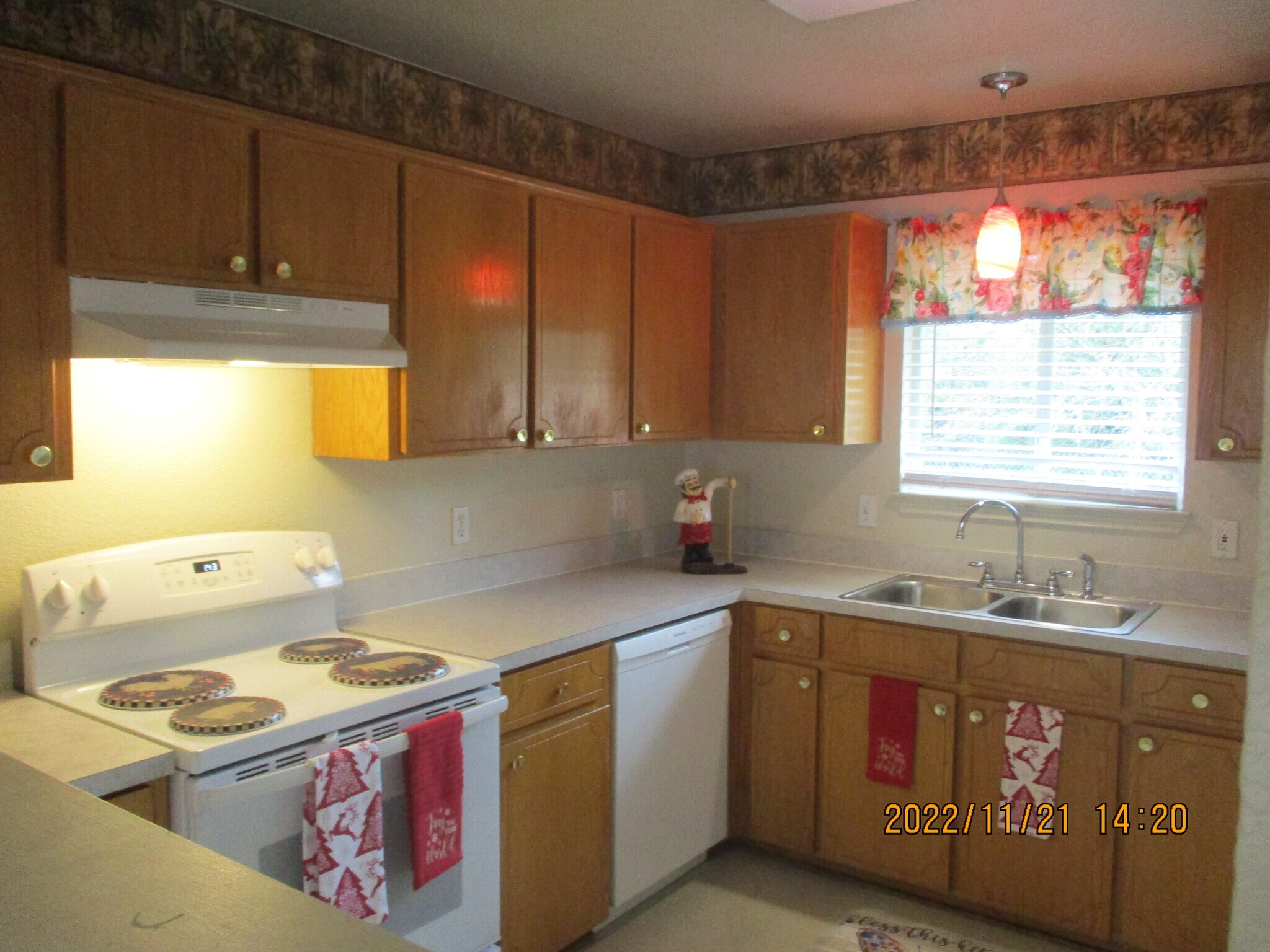Building Photo - 163 Armadillo Ln