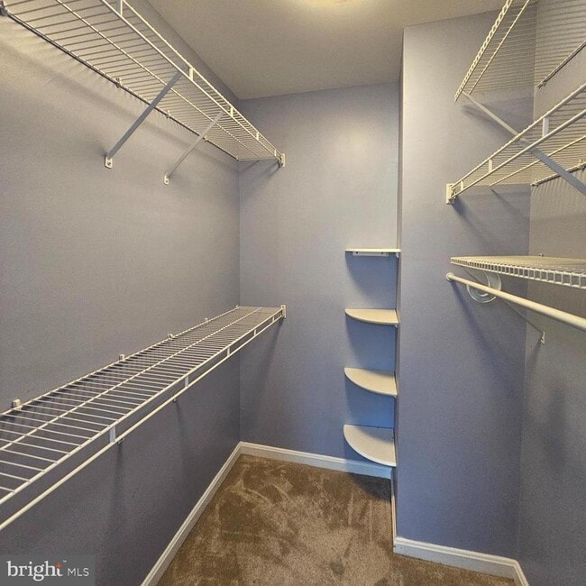 Building Photo - 8202 Catbird Cir