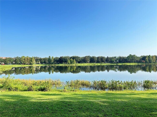 Building Photo - 11564 Mizzon Dr