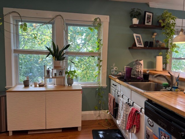 Large windows in kitchen - 25 Dalrymple St