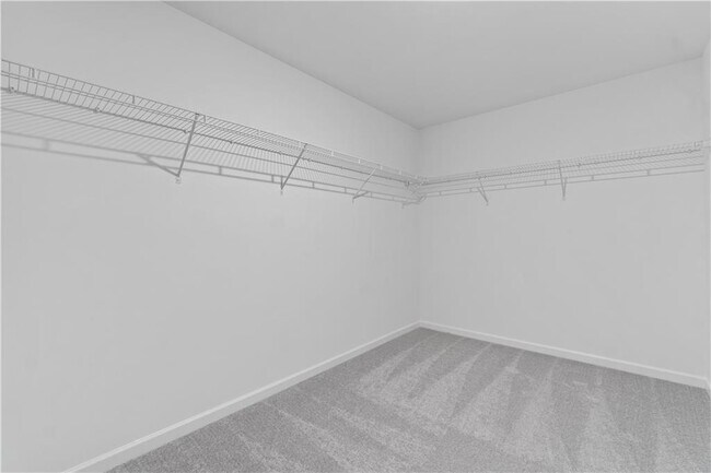 Building Photo - 2817 Habibi Ct