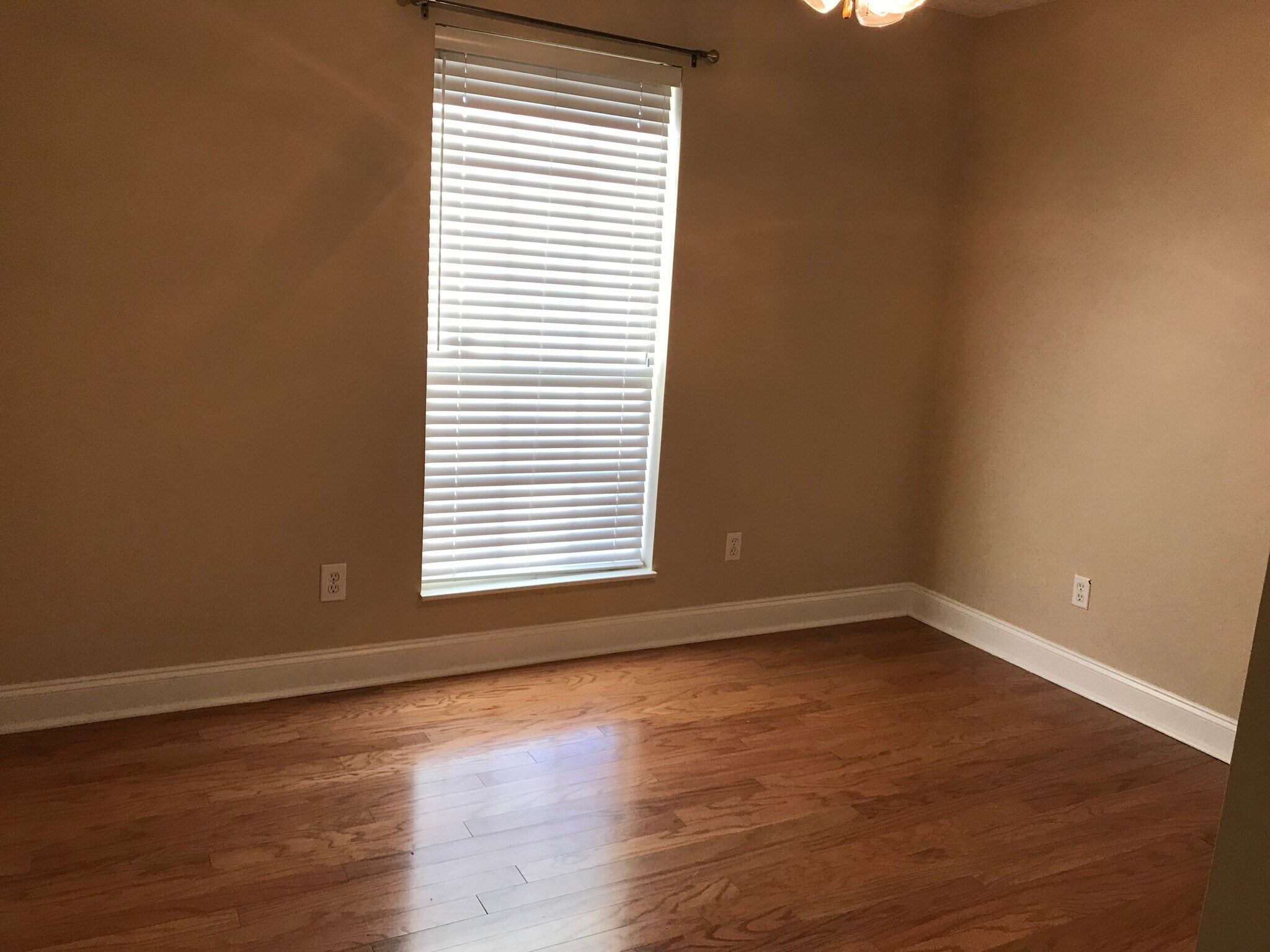 Bedroom 3 - 8404 Lesley Marie Ln