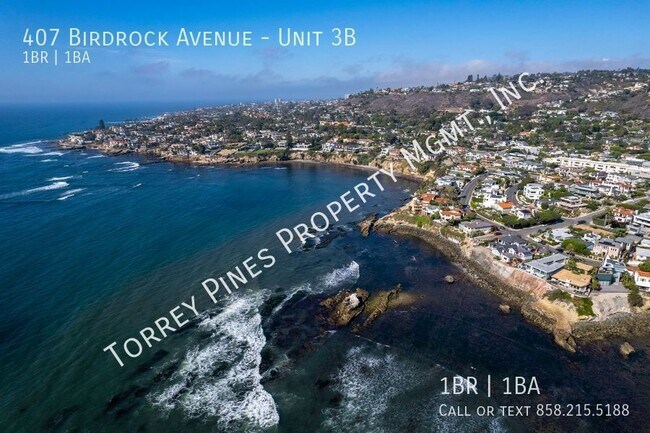Building Photo - 407 Bird Rock Ave