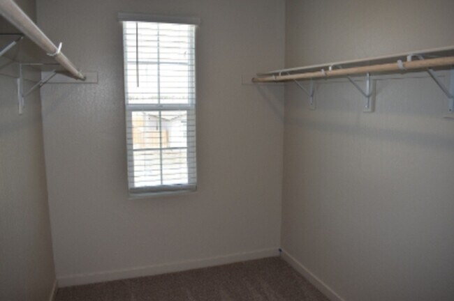 Building Photo - 4139 Scarlet Ct