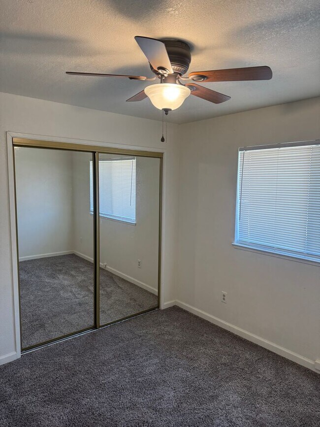 Building Photo - 2556 Sabre Ct