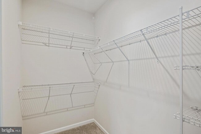 Building Photo - 10012 Sandy Run Rd