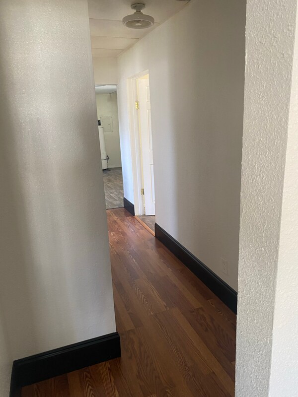 Building Photo - 309 N Louisa Ave