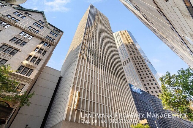 Building Photo - 100 E Walton St