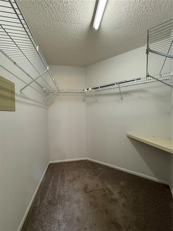 Building Photo - 5600 Revelwood Loop