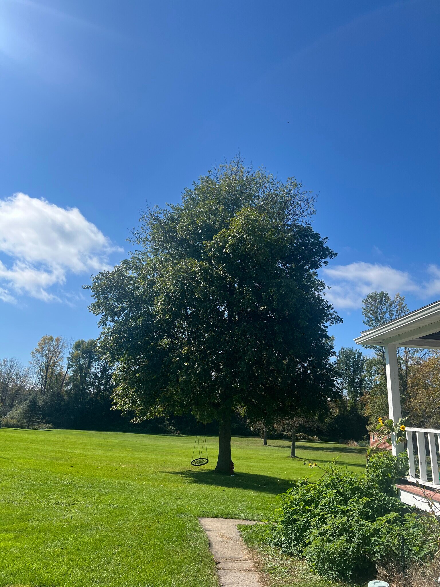 Building Photo - 1239 Cumberland Head Rd