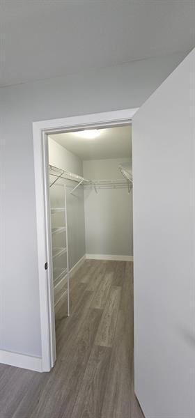 Building Photo - 3993 Cypress Reach Ct