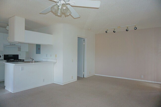 Building Photo - Palm Villas Studio with 1 parking & A/C