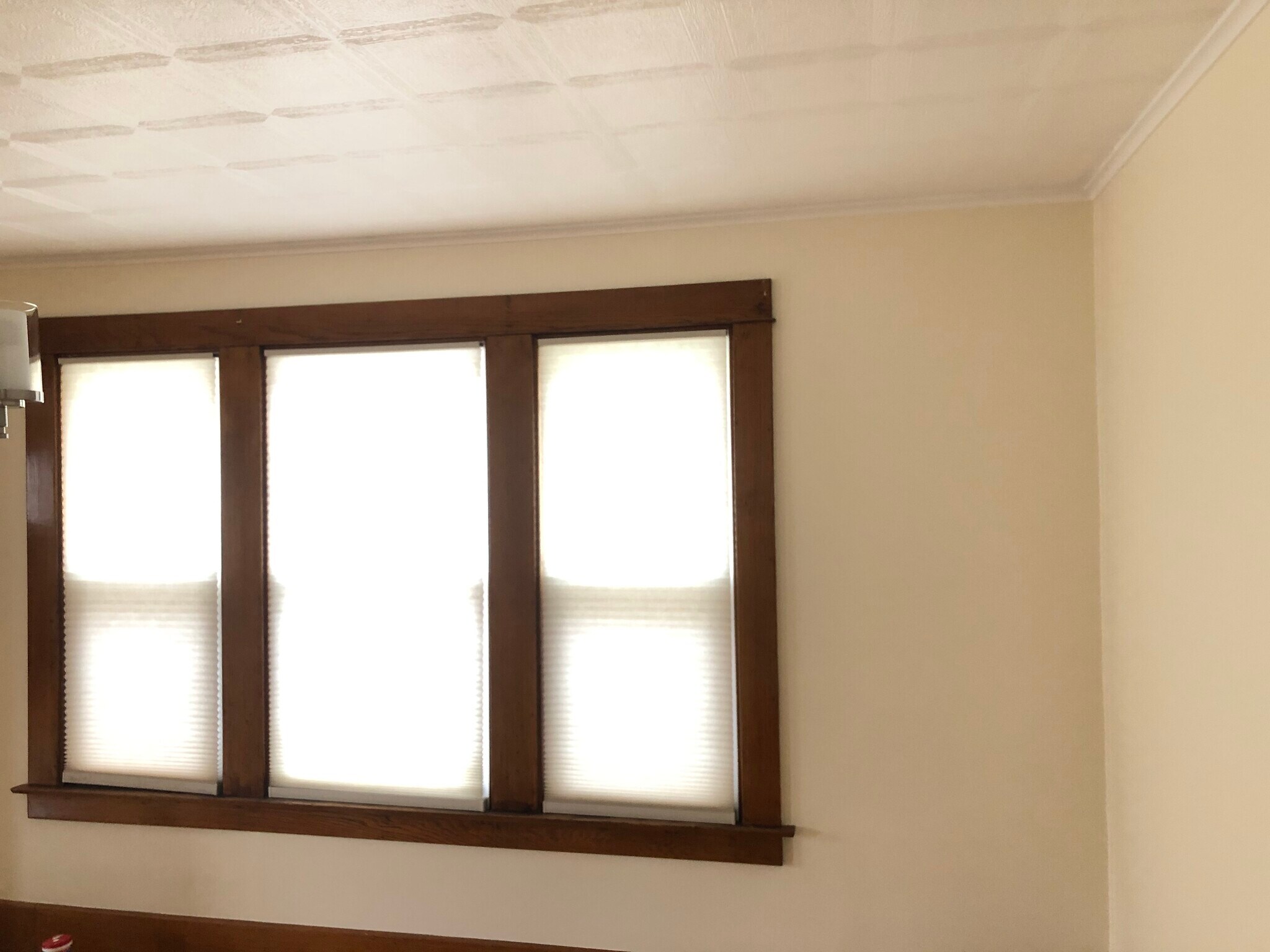 Blinds on all Windows - 81 Lincoln Blvd