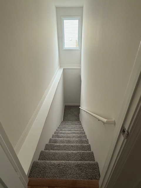 Building Photo - 1217 Britt Ln