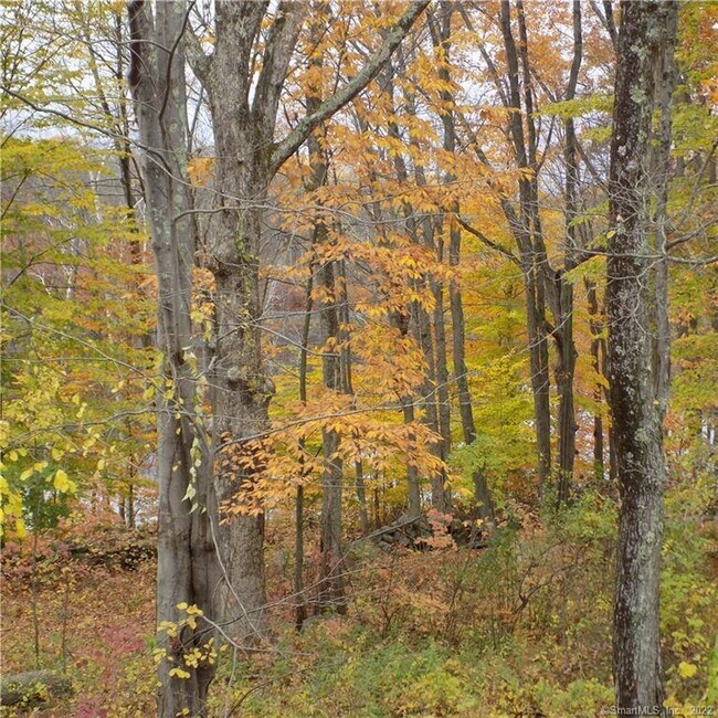 Building Photo - 64 Big Bear Hill Rd