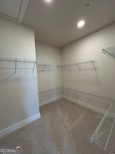 Building Photo - 2540 Mountain Ash Ln