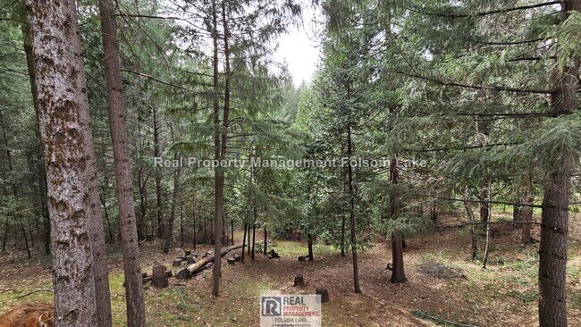 Building Photo - Private Wooded Retreat on 2 Acres – 4BR 2Bath Home with Space for Animals, Fruit Trees & Seasonal...