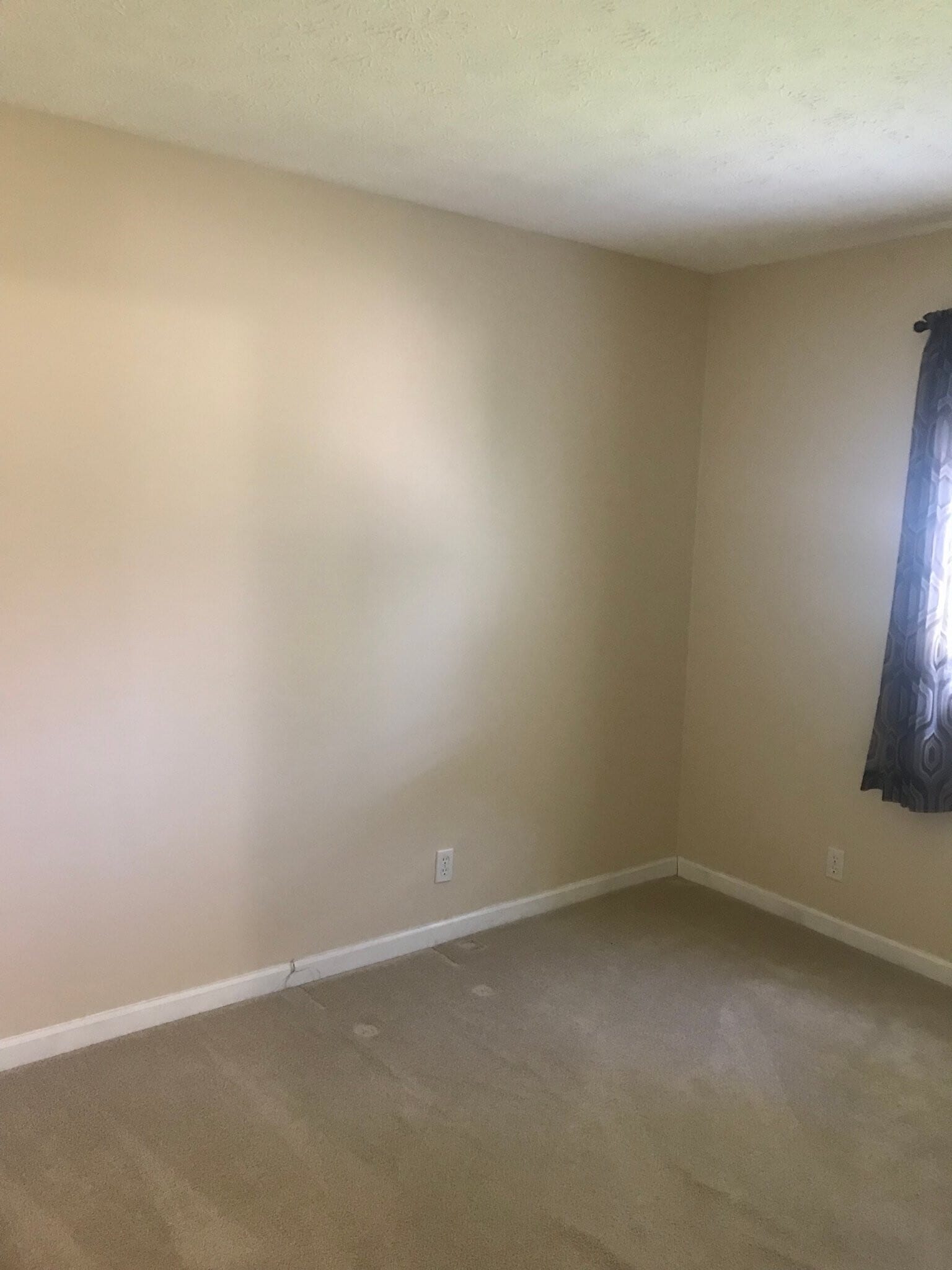 Building Photo - 4820 St Leo Pl