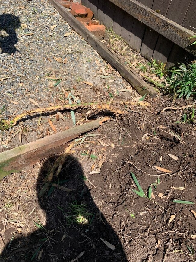 Building Photo - Puyallup Cottage