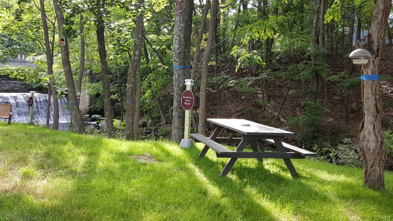 Building Photo - 3 Cook St