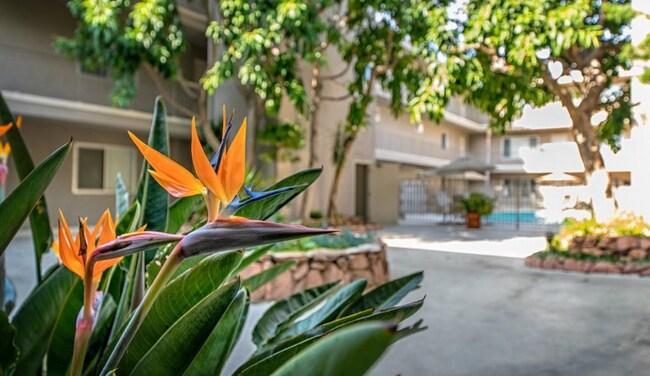 Building Photo - 2002 4th St