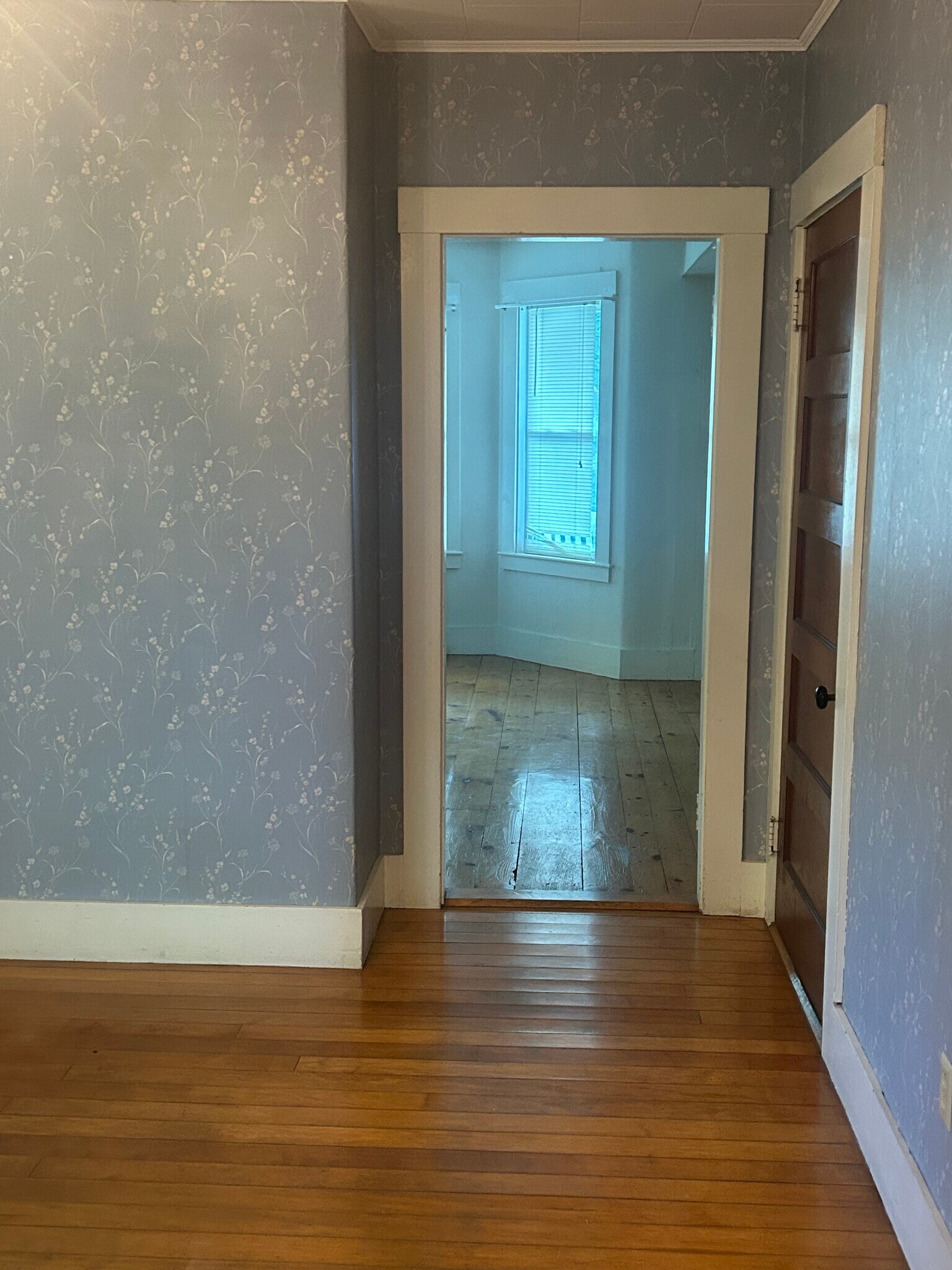 Building Photo - 30 Goldsmith St