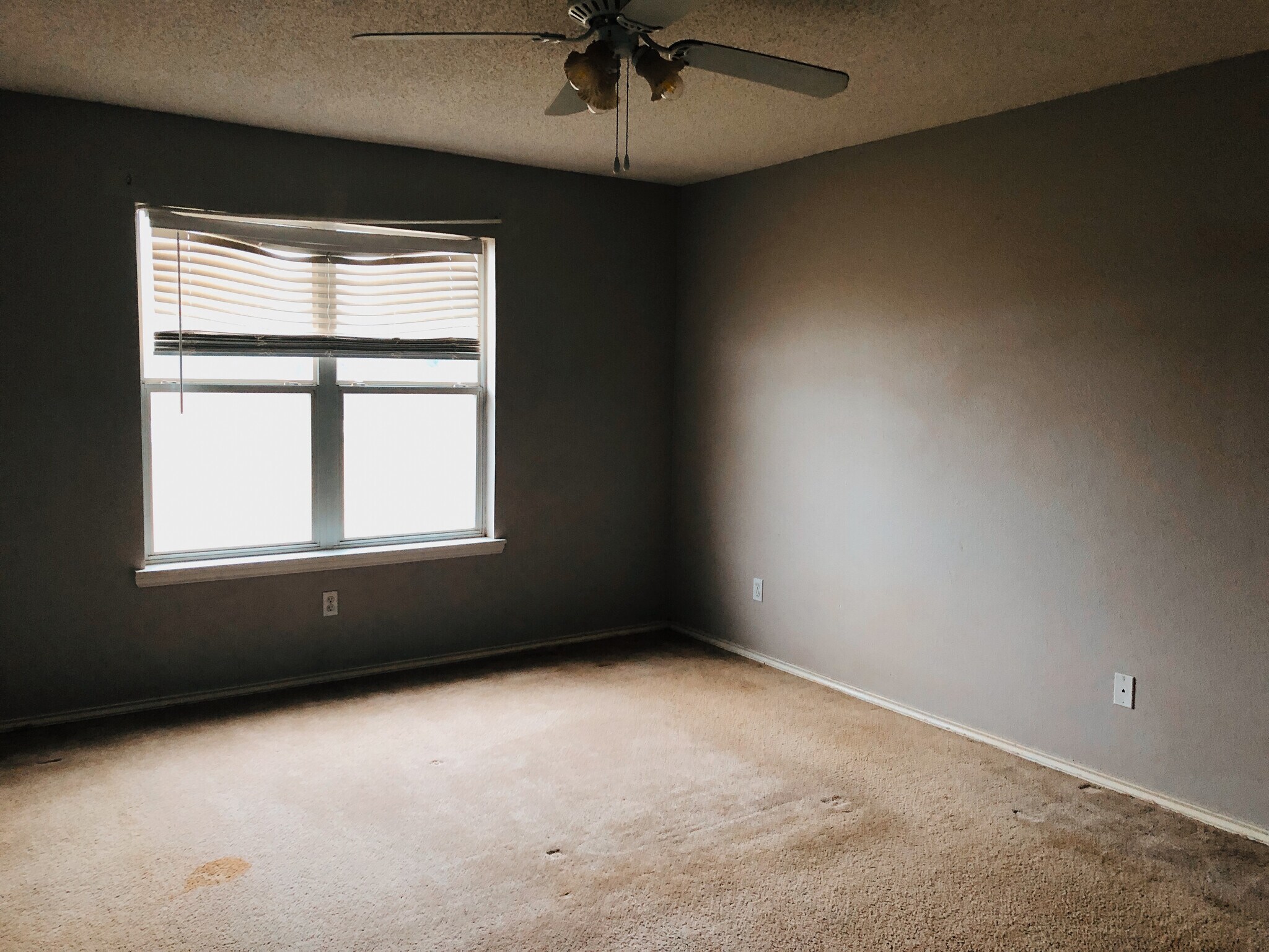 Building Photo - 6104 7th Dr