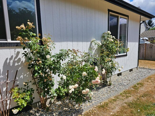 Building Photo - Spacious Tacoma Home with Gas Fireplace, 3-Car Garage & Covered Patio!