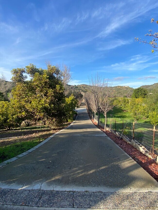 Building Photo - Great horse property in Del Luz!