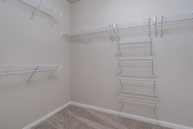 Building Photo - 806 Bedford Ct