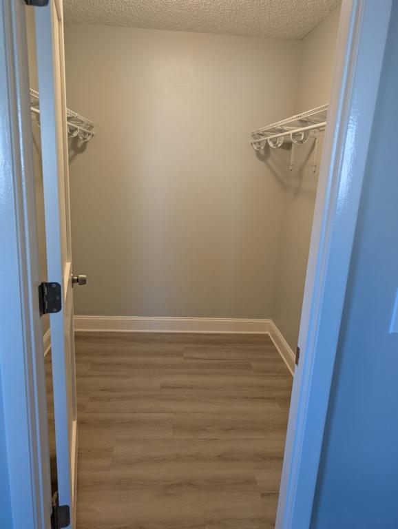 Building Photo - 3015 Sabal Palm Dr