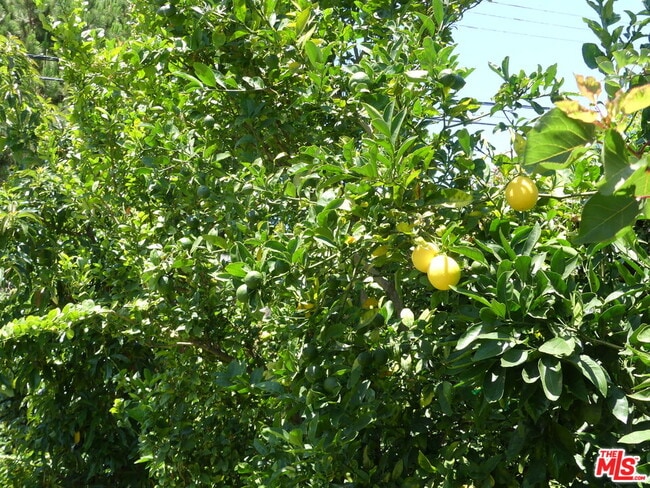 Building Photo - 3101 Cardiff Ave