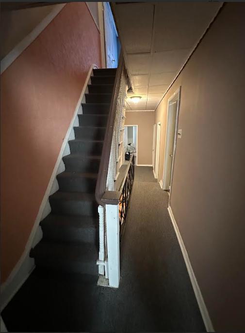 Building Photo - 1225 Snyder Ave