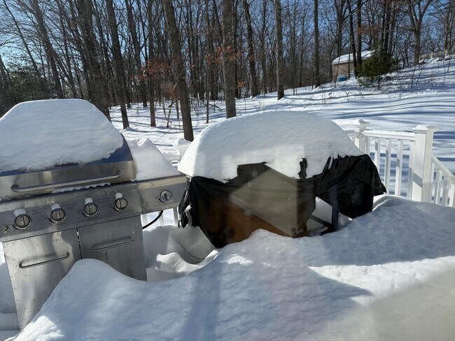 Building Photo - 11 Bluegrass Ln