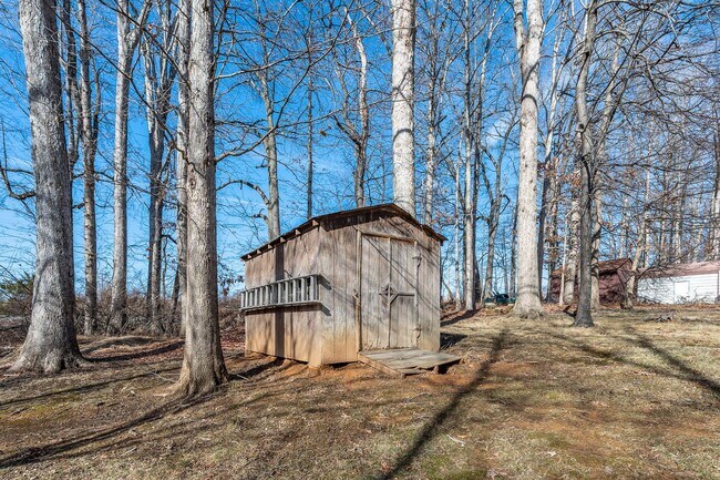 Building Photo - 3 Bedroom House in Forest
