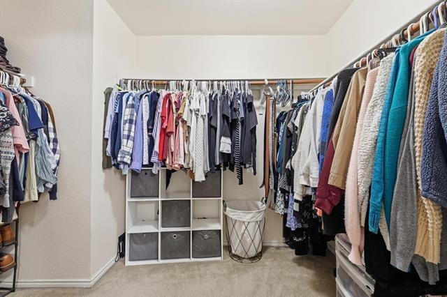 Building Photo - 14820 Ledgeview Ct