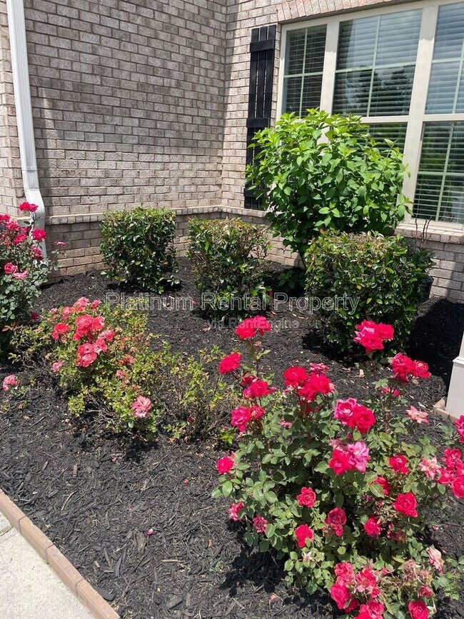Building Photo - 1825 Dahlia Dr
