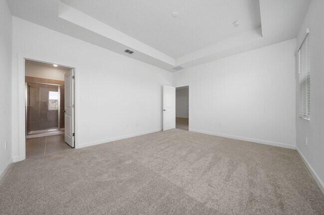Building Photo - Beautiful and Brand New Single Family in T...