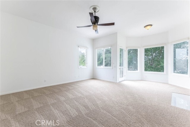 Building Photo - 562 Ravensbury St