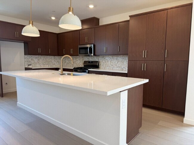 Building Photo - Brand New Desirable One Lake Subdivision -...