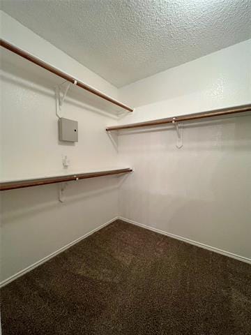 Building Photo - 4021 Busch Gardens Dr