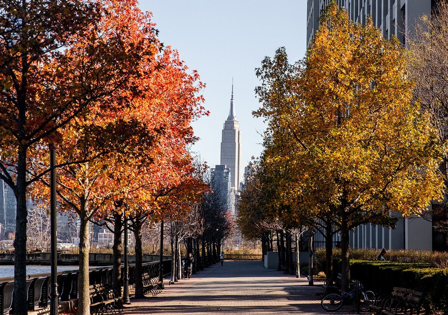 Building Photo - 1414 Grand St