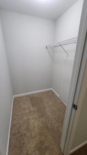 Building Photo - 4525 Village Ct