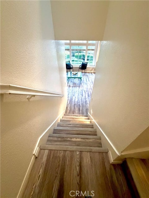 Building Photo - 11512 Stonecrest Dr